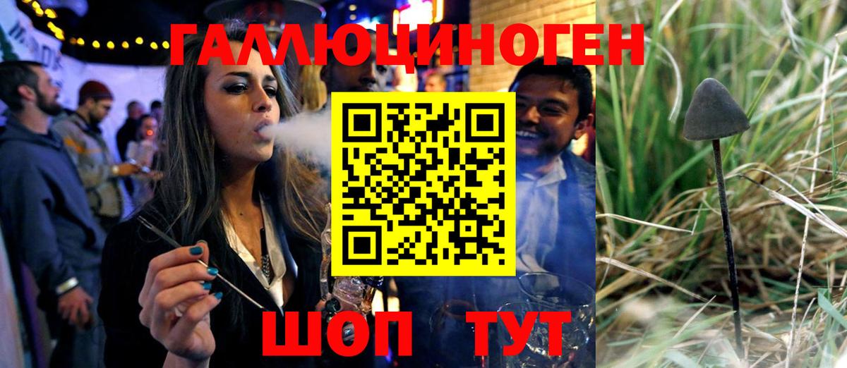 Омск  Псилоцибиновые грибы Magic Shrooms  Псилоцибиновые грибы Psilocybe  Вход с VPN 